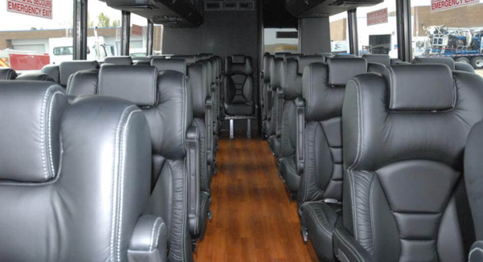 Saint Petersburg 20 Passenger Minibus Interior