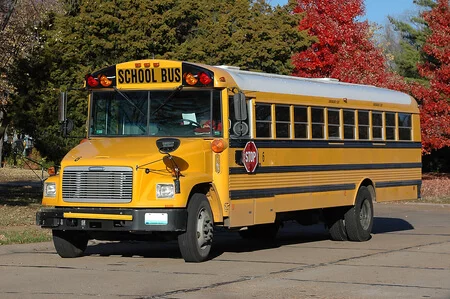 Saint Petersburg 47 Passenger School Bus