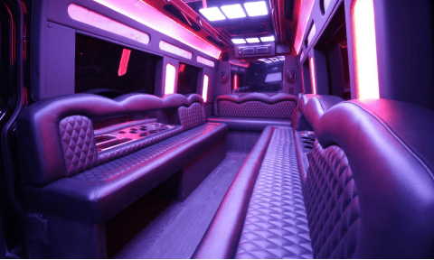 North Port 14 Passenger Sprinter Bus Interior