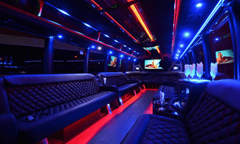 Fort Myers 30 Passenger Party Bus Black Interior